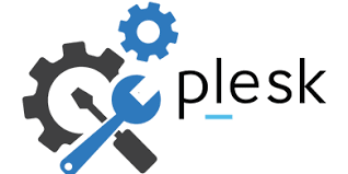 company partner